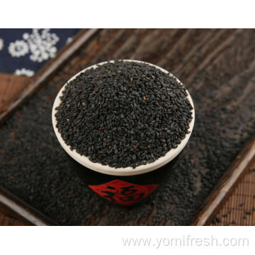 Black Sesame Plant